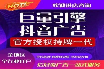 成功案例分享：SEM竞价代运营策略解析